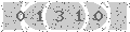 verify code
